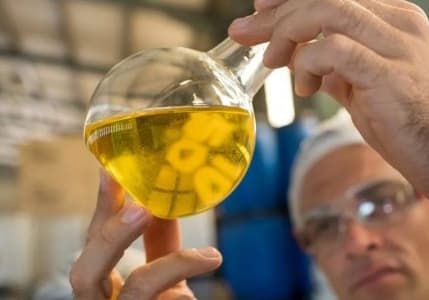 Avrupa'da sahte zeytinyağı vakaları rekor seviyeye ulaştı