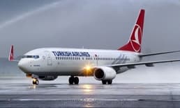 THY'den İstanbul Havalimanı'na getirilecek evcil hayvanlara ilişkin yeni açıklama