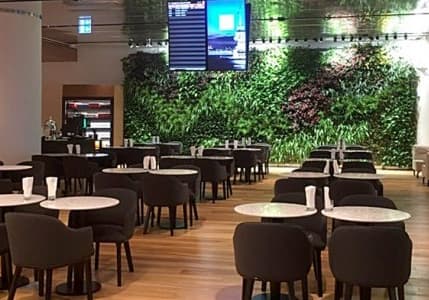 THY'den özel yolcu salonu ücretlerine zam