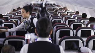 THY dört farklı kategoride kabin memuru alacak