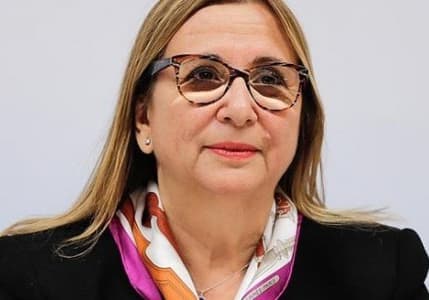 Ticaret Bakanı Pekcan görevden alındı