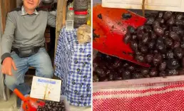 Ticaret Bakanlığı fahiş fiyatlı zeytin satışı için harekete geçti
