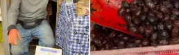 Ticaret Bakanlığı fahiş fiyatlı zeytin satışı için harekete geçti