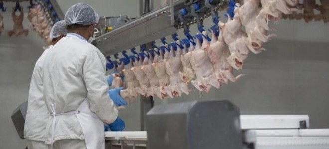 Bakanlık harekete geçti: Tavuk ihracatına yasak getiriliyor