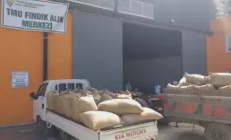 TMO 24 Ağustos'ta başlayacak yeni sezon fındık alım fiyatlarını açıkladı