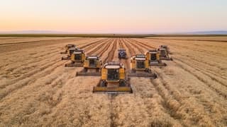 TMO’dan buğday ve arpa alımına ilişkin açıklama