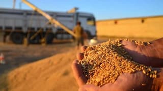 TMO'dan spekülatif fiyatlara karşı yeni hamle: İlave yem stokları satışa sunuldu