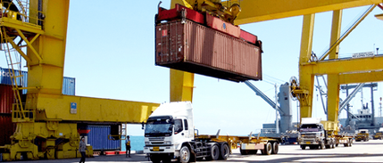 TMO, gümrük vergisiz 1 milyon ton buğday ithal edebilecek