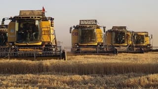 TMO, hububat alım bedellerini üreticilere ödemeye başladı 