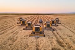 TMO ithal pirinç iddialarını yalanladı