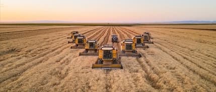 TMO ithal pirinç iddialarını yalanladı