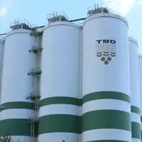 TMO'nun arpa satışları başladı