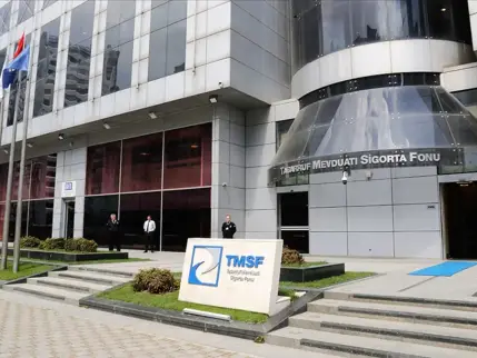 TMSF iki şirketi satışa çıkardı: İşte istenen bedeller ve ihale tarihleri