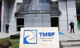 TMSF iki şirketi satışa çıkardı