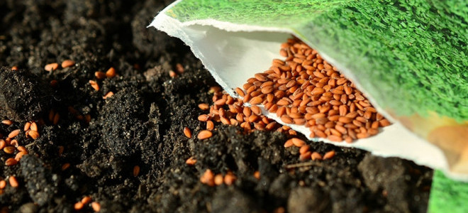 Tohumculuk sektöründe Türkiye'nin yeni hedefleri açıklandı