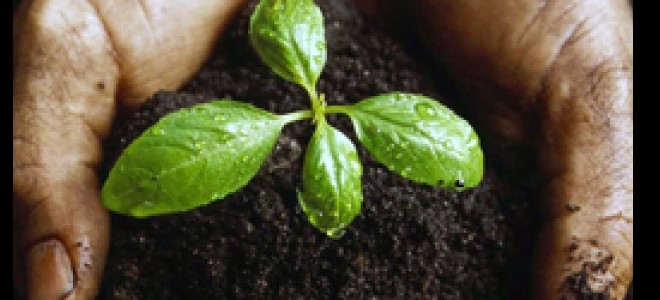 Toprağı zenginleştirecek yeni nesil gübre: Organomineral