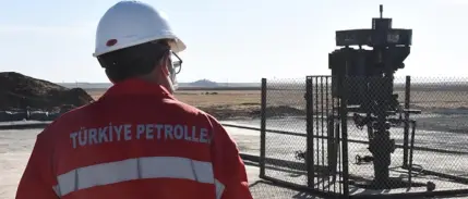 TPAO, BP'nin Kerkük merkezli şirketinin yüzde 15 hissesini aldı