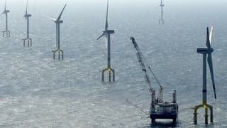 Trump sonrası yeşil enerji şirketlerinde sert düşüş