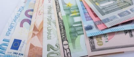 TÜFE bazlı reel efektif döviz kuru endeksi geriledi