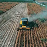 TÜİK açıkladı: Çiftçinin ağustos ayı enflasyonu belli oldu