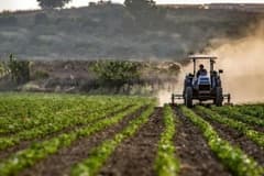 TÜİK açıkladı: Çiftçinin enflasyonu belli oldu