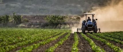 TÜİK açıkladı: Çiftçinin enflasyonu belli oldu