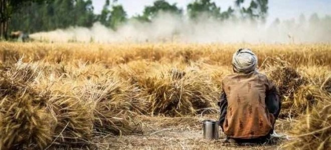 TÜİK açıkladı: Tarım işçilerinin günlük ücreti son bir yılda nasıl değişti?