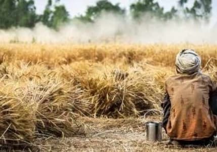 TÜİK açıkladı: Tarım işçilerinin günlük ücreti son bir yılda nasıl değişti?