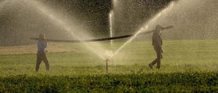 TÜİK duyurdu: Tarım ÜFE rakamları belli oldu