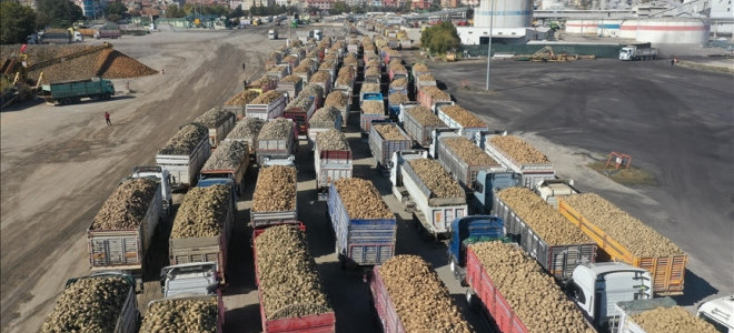 Türk domatesinin ihracatında şampiyon Romanya oldu