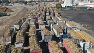 Türk domatesinin ihracatında şampiyon Romanya oldu