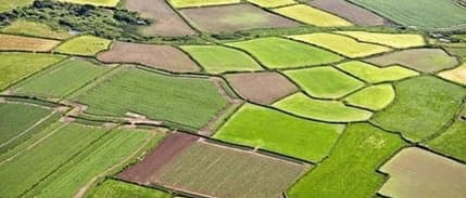 Türkiye'de İşlenebilir Arazinin Yüzde 30'u Kullanılmıyor