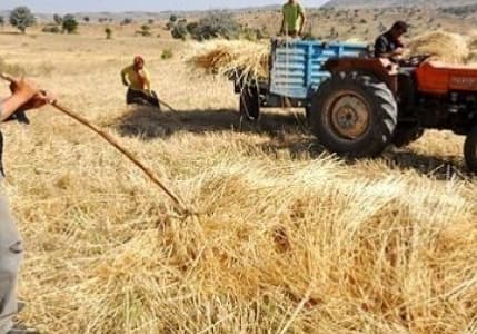 Türkiye’de Üretici Fiyatları Yıllık Enflasyonu %15,47 Oldu