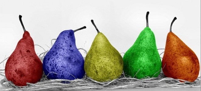 Türkiye GDO üzerine daha fazla çalışma yapmalı