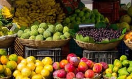 Türkiye, Gıda Güvenliği Endeksi'nde 10 yılda 13 sıra geriledi