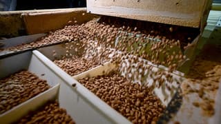 Türkiye 'helal kedi ve köpek maması' ihracatından 150 milyon dolar kazandı