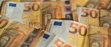 Türkiye Kalkınma ve Yatırım Bankası'na 100 milyon euro kaynak