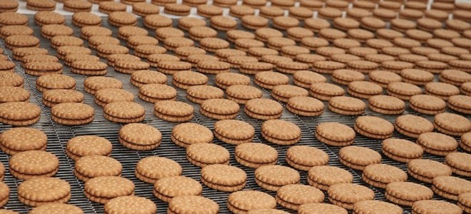 Türkiye'nin 500 büyük şirketinden 111'i gıda sektöründen