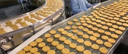 Türkiye'nin 500 büyük şirketinden 93'ü gıda sektöründen