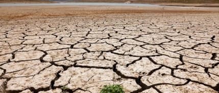 Türkiye'nin çölleşme ile mücadeledeki yol haritası açıklandı