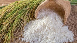 Türkiye'nin iki ürünü daha Avrupa'da tescillendi