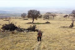 Türkiye’nin ıssız durakları: 3 köyde sadece birer kişi yaşıyor 