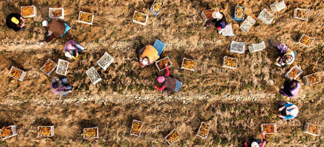 Türkiye'nin kooperatifçiliğe ilişkin 5 yıllık stratejisi açıklanacak