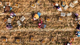 Türkiye'nin kooperatifçiliğe ilişkin 5 yıllık stratejisi açıklanacak