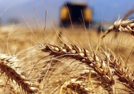 TÜİK açıkladı: Türkiye'nin tarım üretimi, talebi ne kadar karşılıyor?
