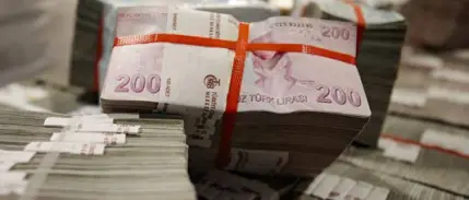 Türkiye'nin vergi rekortmenleri açıklandı