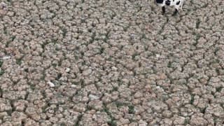 Türkiye, Paris Anlaşması'nı onaylayarak iklim kriziyle mücadelede yeni bir döneme girecek