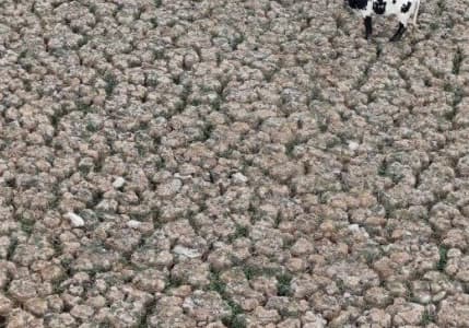 Türkiye, Paris Anlaşması'nı onaylayarak iklim kriziyle mücadelede yeni bir döneme girecek