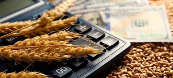 Türkiye, Rusya’dan buğday ithalatına yeniden başladı