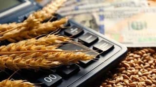 Türkiye, Rusya’dan buğday ithalatına yeniden başladı